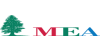 Middle East Airlines